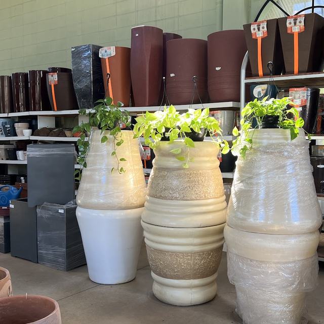 Vasos cerâmicos grandes e prateleiras de vasos com plantas pendentes