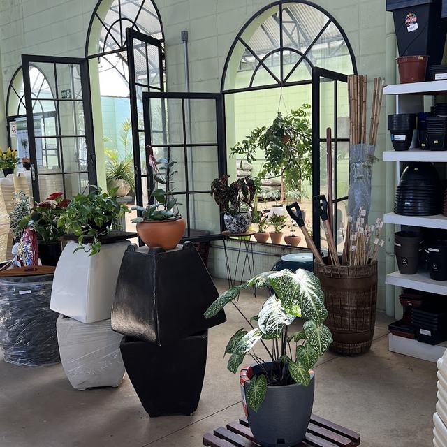 Vasos pretos, brancos e de fibra com plantas diante das janelas em arco